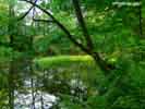 Staw przy m�ynie